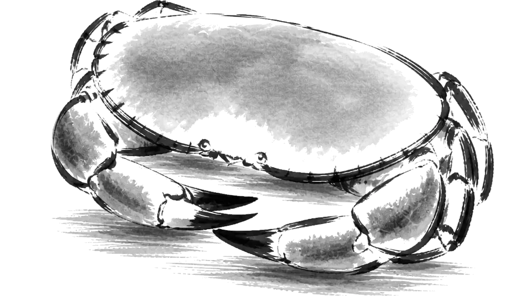 Brush-line drawing of a crab