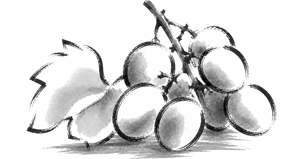 Brush-line drawing of a bunch of grapes