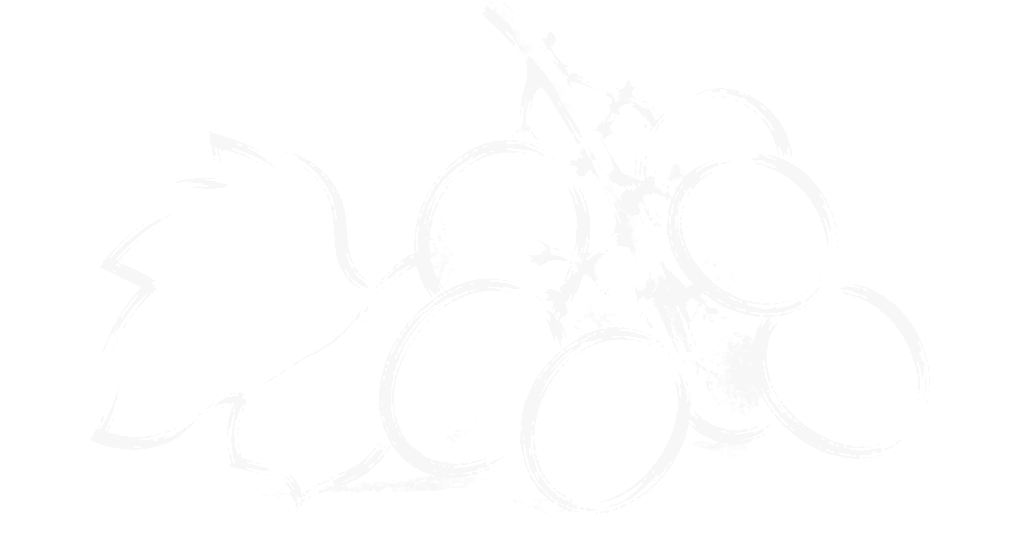Brush-line drawing of a bunch of grapes